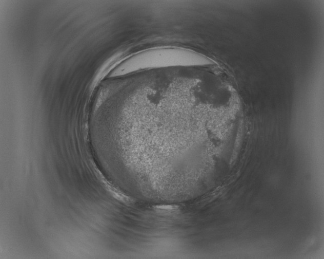 X0000076090053200610202119