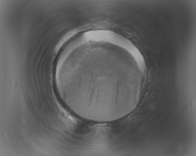 X0000076090054200610202119