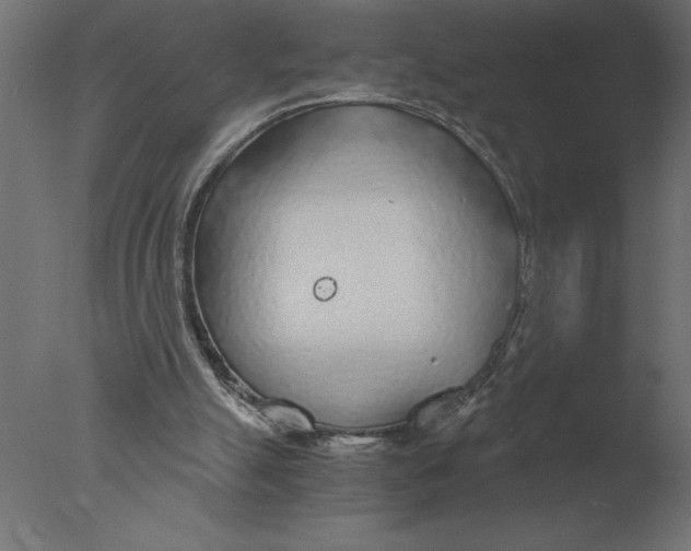 X0000076090055200610202119