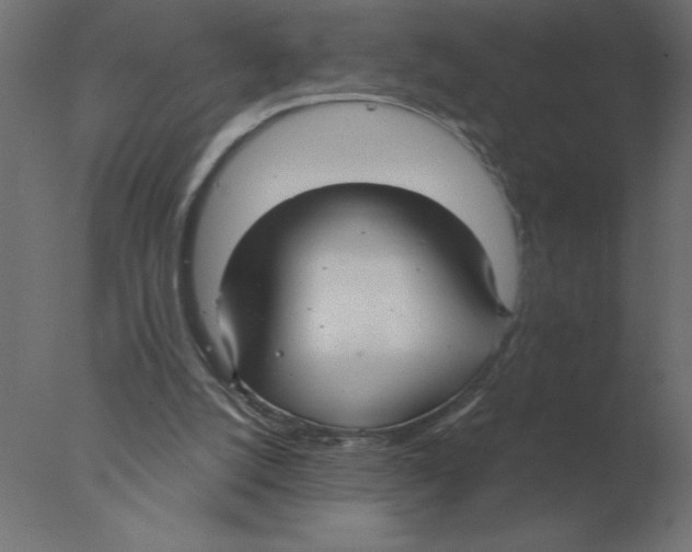 X0000076090056200610202119