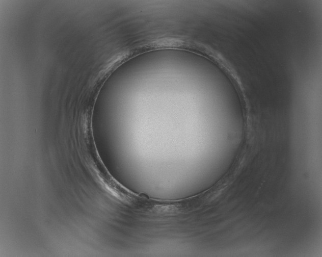 X0000076090057200610202119