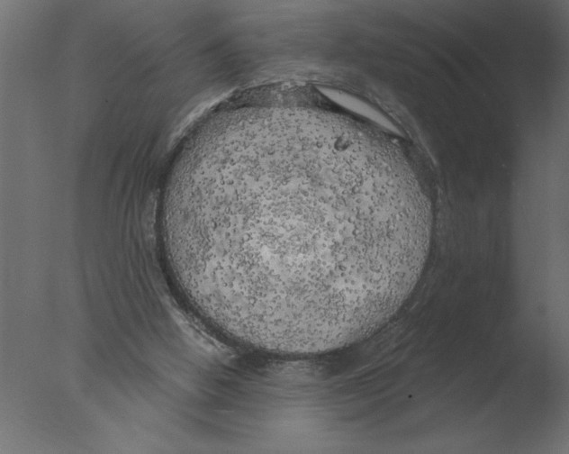 X0000076090058200610202119