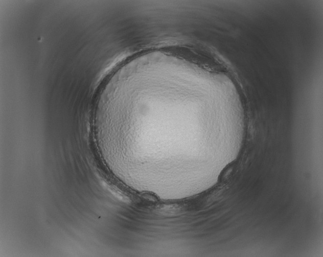 X0000076090059200610202119