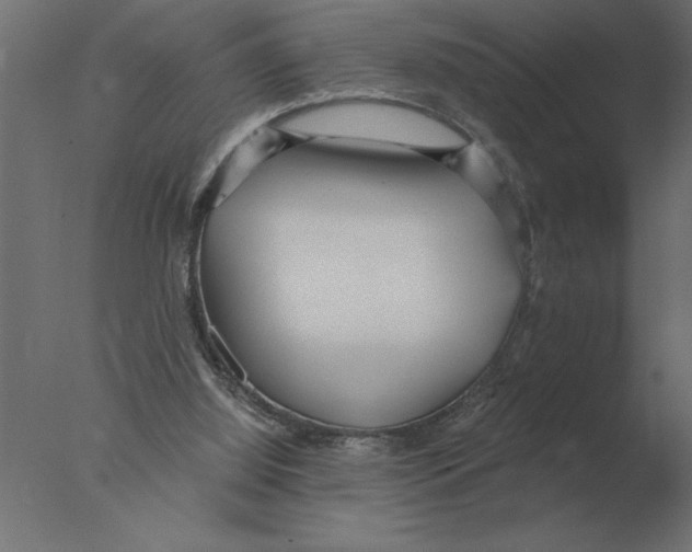 X0000076090060200610202119