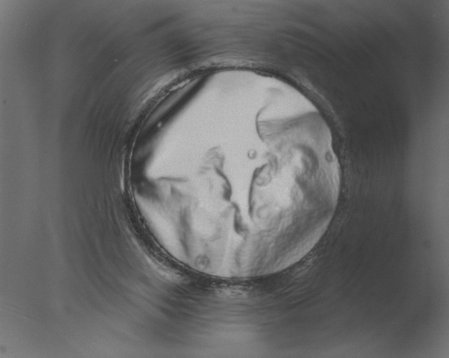 X0000076090062200610202120