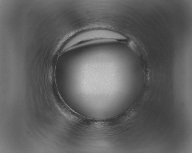 X0000076090064200610202120