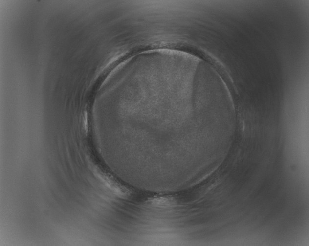 X0000076090067200610202120