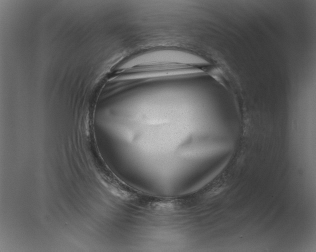 X0000076090068200610202120