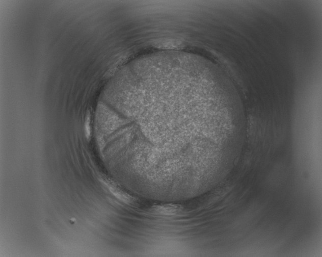 X0000076090069200610202120