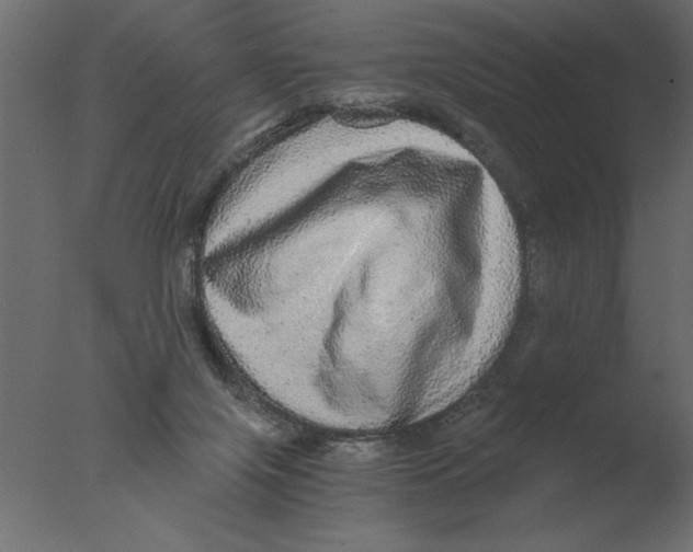 X0000076090071200610202120