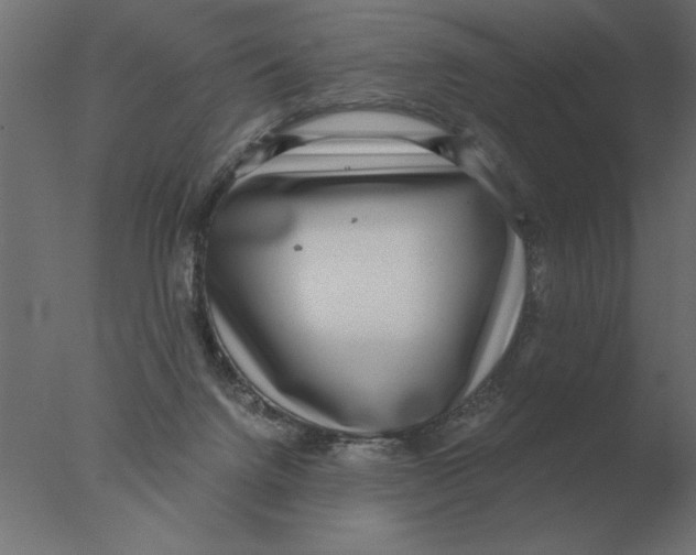 X0000076090072200610202120