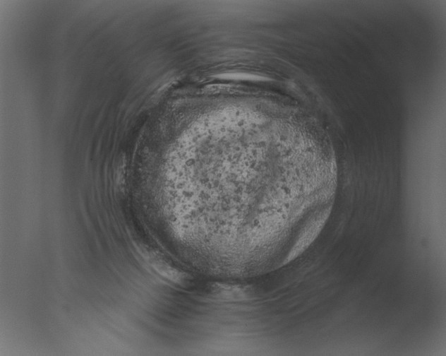 X0000076090073200610202120