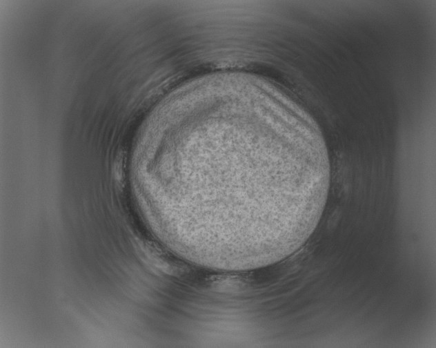 X0000076090074200610202120