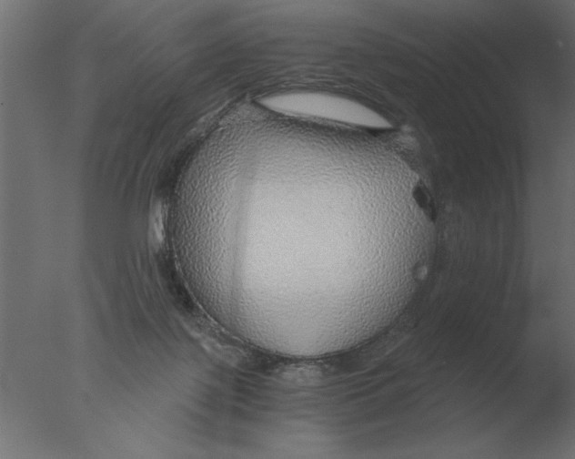 X0000076090075200610202120