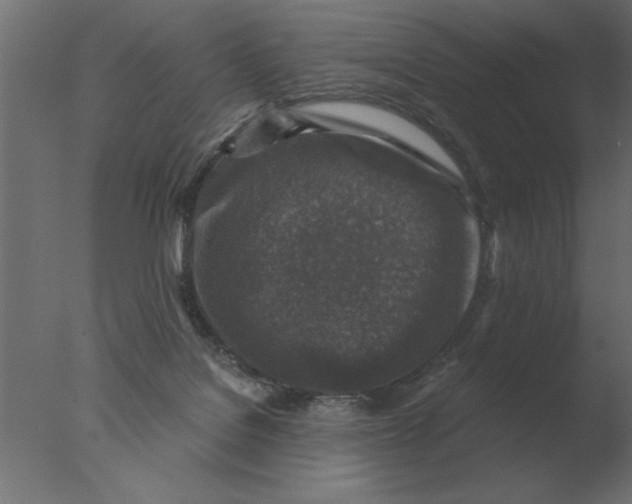 X0000076090076200610202120