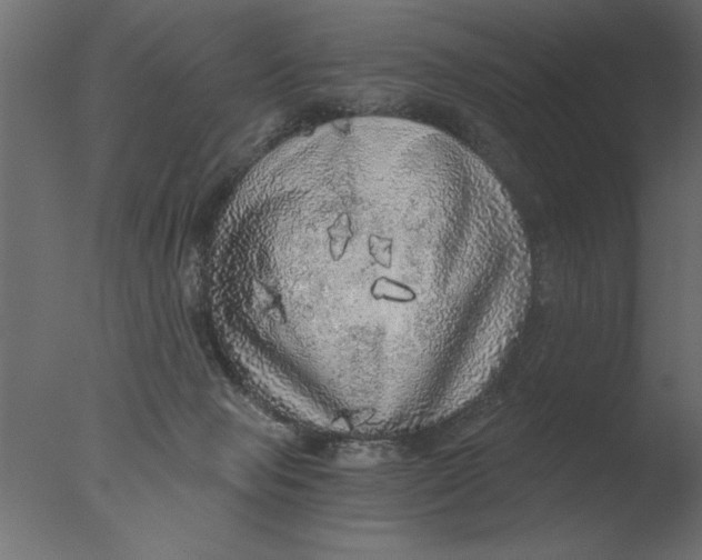 X0000076090077200610202120