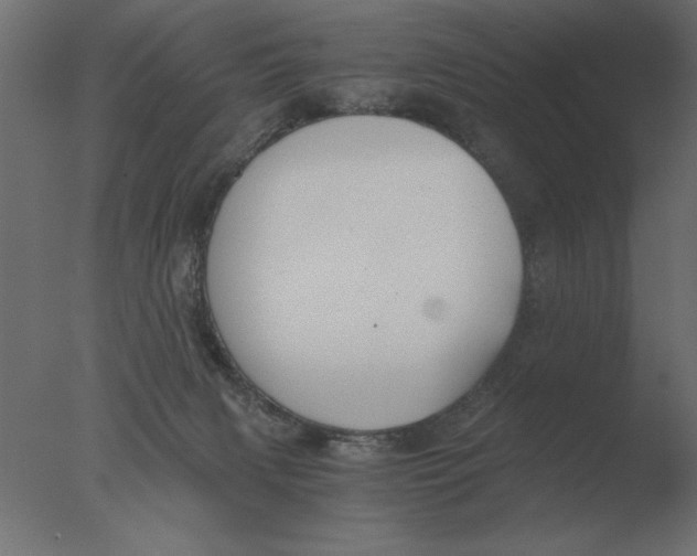 X0000076090079200610202120