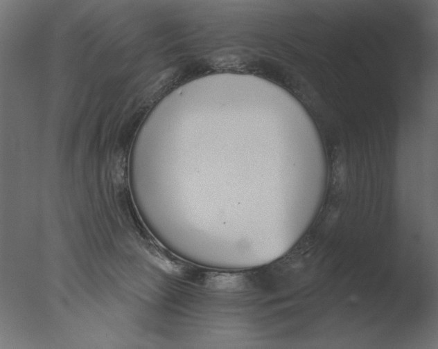 X0000076090081200610202120