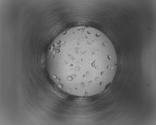 X0000076090082200610202120