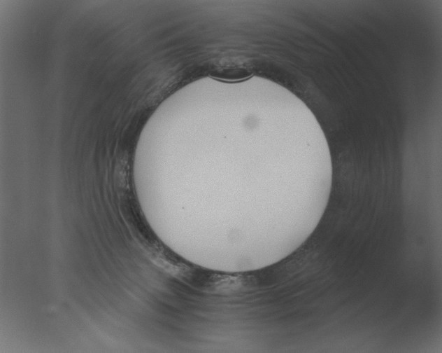 X0000076090083200610202120