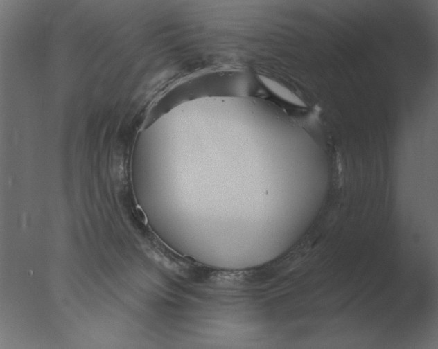 X0000076090084200610202120