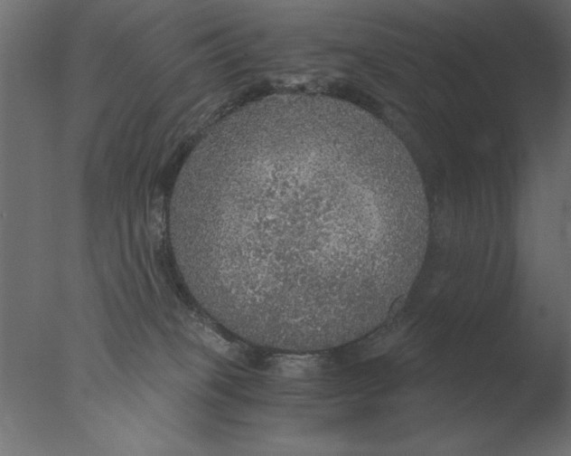 X0000076090085200610202120