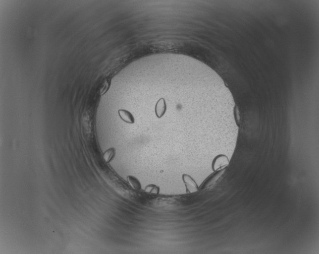 X0000076090086200610202120