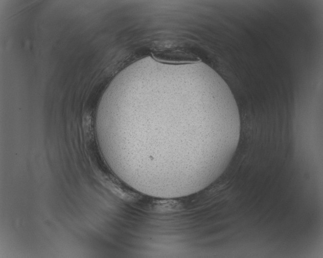 X0000076090087200610202120