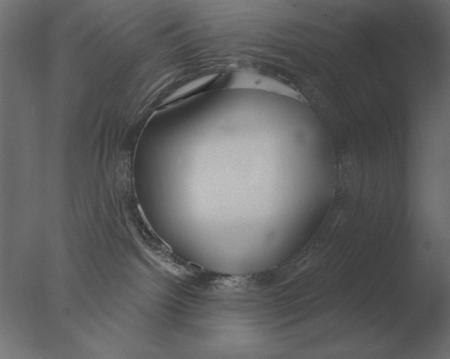 X0000076090092200610202120