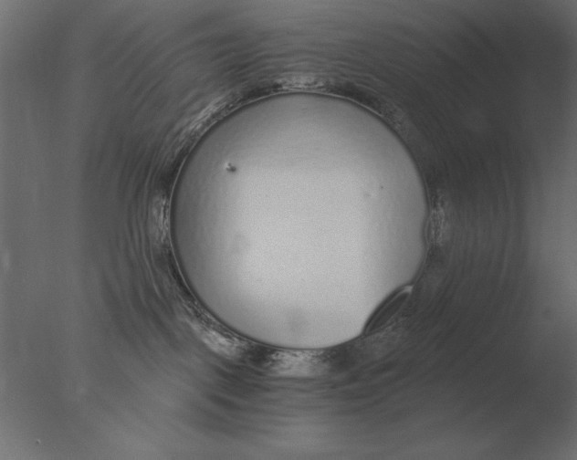 X0000076090093200610202120