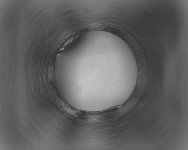 X0000076090096200610202120