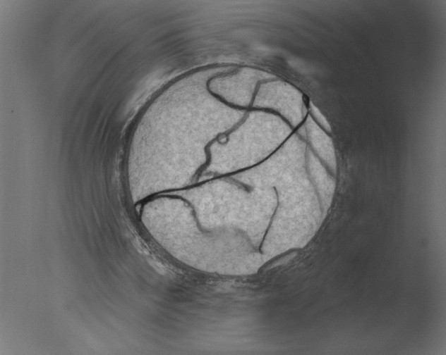 X0000076090098200610202119