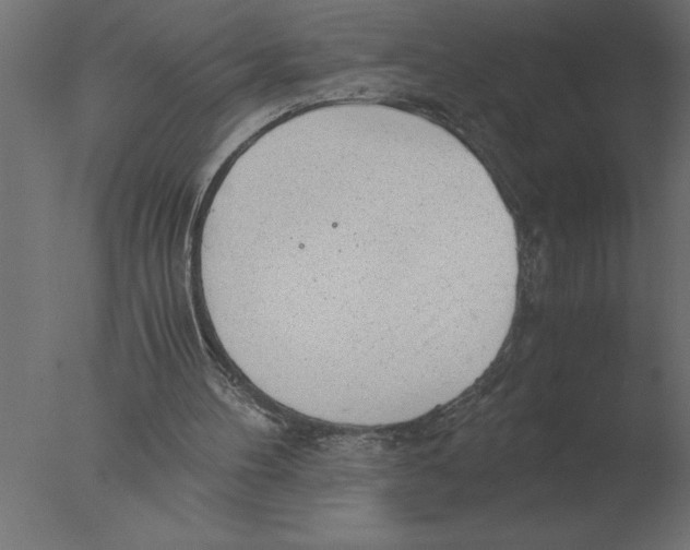 X0000076090100200610202119