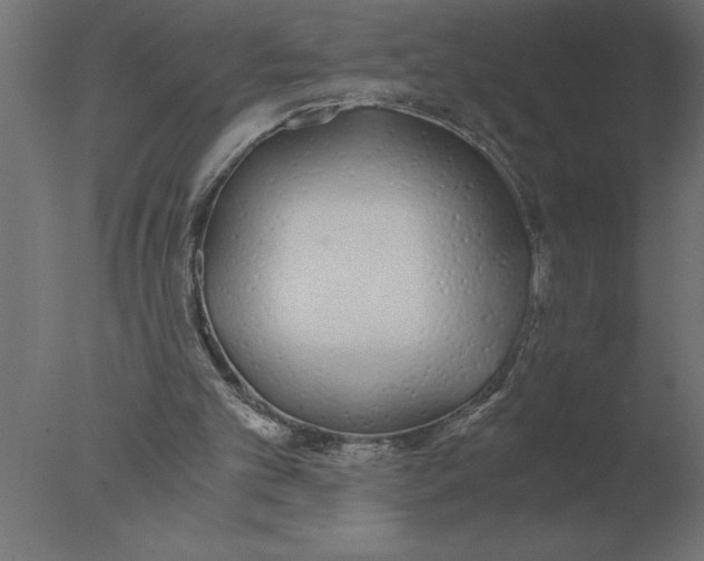 X0000076090101200610202119