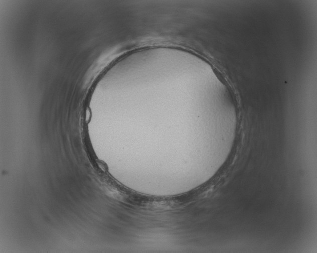 X0000076090103200610202119