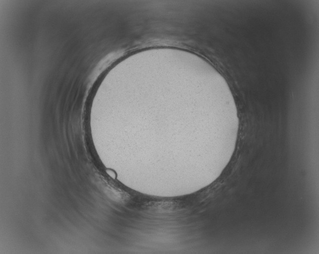 X0000076090104200610202119