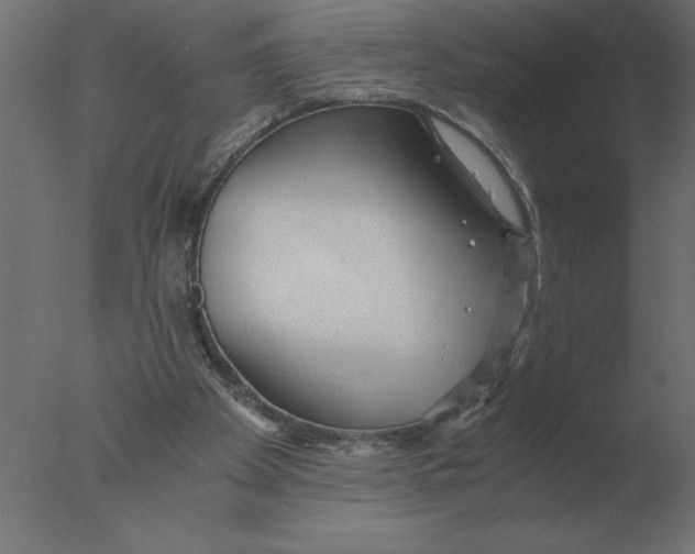 X0000076090105200610202119