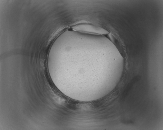 X0000076090106200610202119