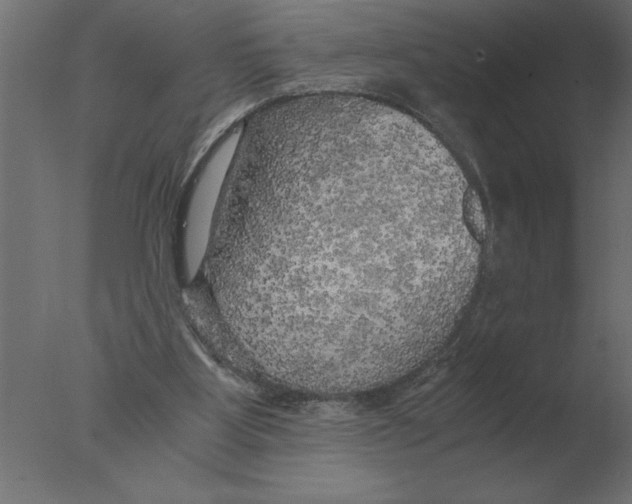 X0000076090107200610202119