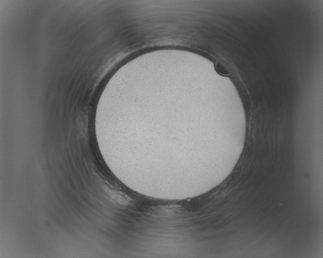 X0000076090108200610202119