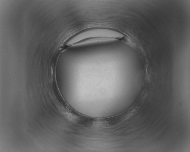 X0000076090109200610202119