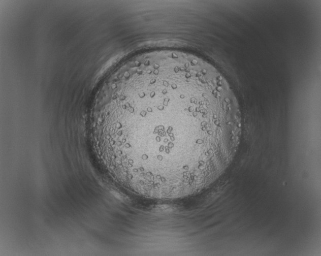 X0000076090111200610202119