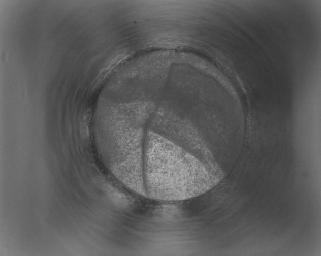 X0000076090114200610202119