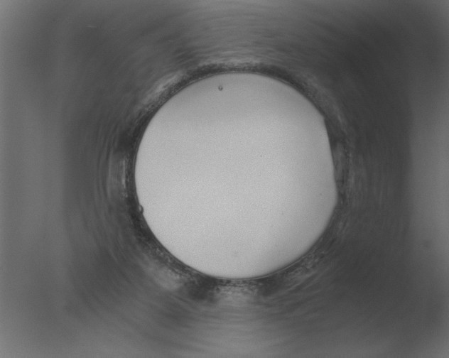 X0000076090115200610202119