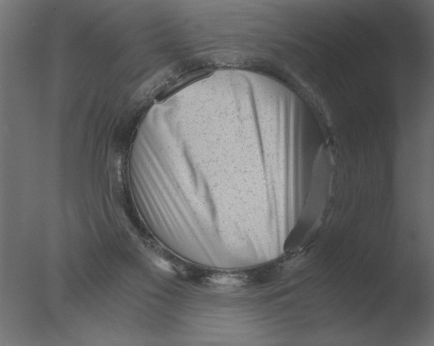 X0000076090117200610202119