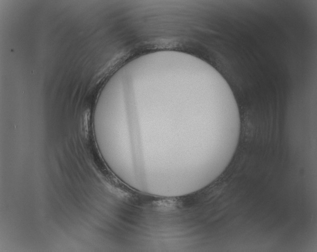 X0000076090118200610202119