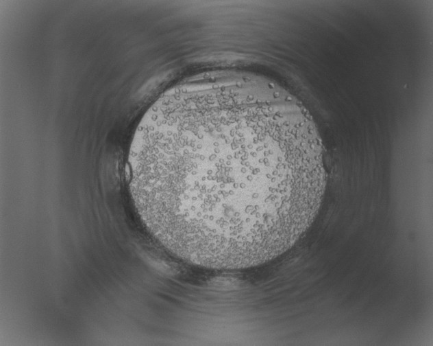 X0000076090119200610202119