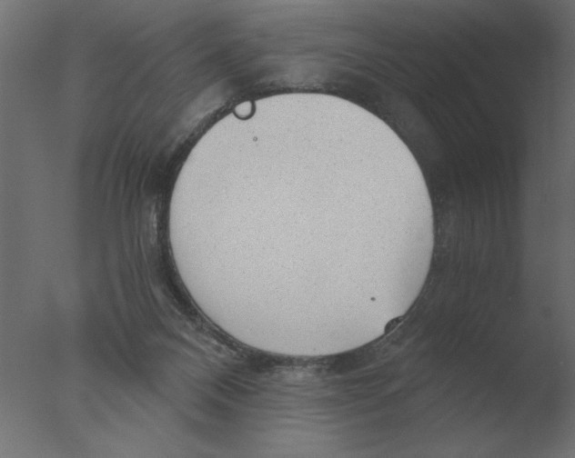 X0000076090120200610202119