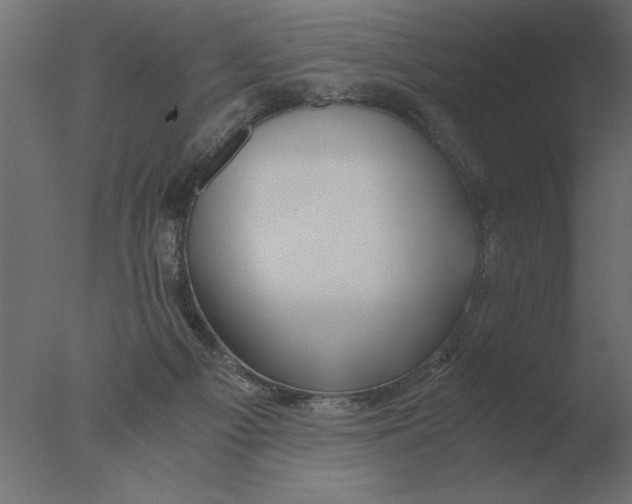 X0000076090121200610202119