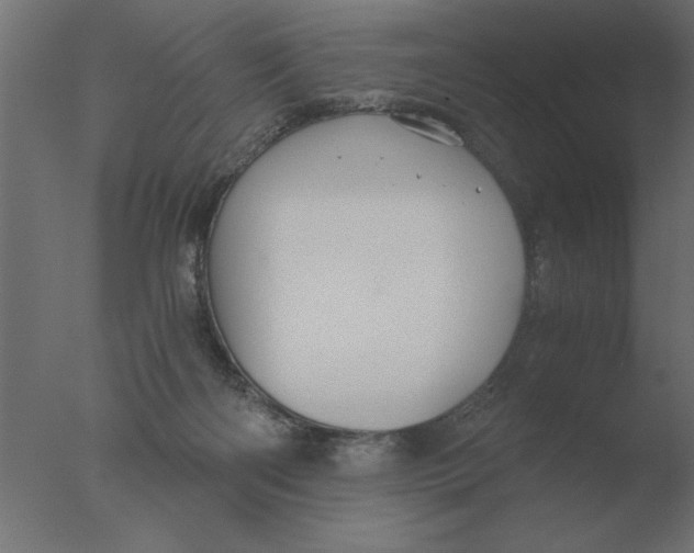 X0000076090122200610202119